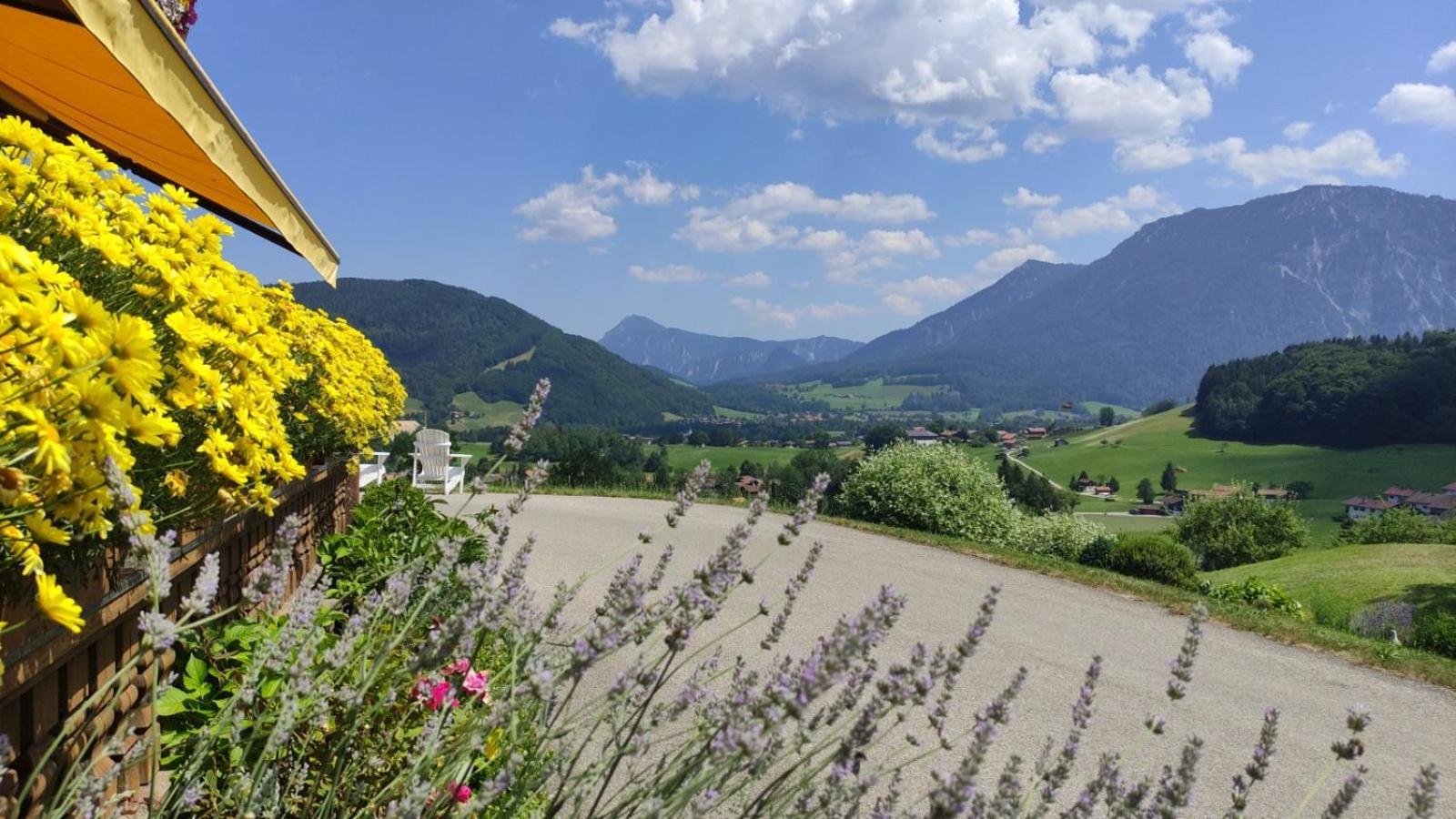 Obersteinberg-Hof Inkl. Chiemgaukarte Apartment Ruhpolding Exterior photo